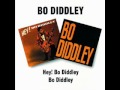 Bo Diddley - All You Green.wmv
