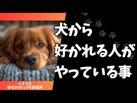 犬に対して絶対にしてはいけない12のこと