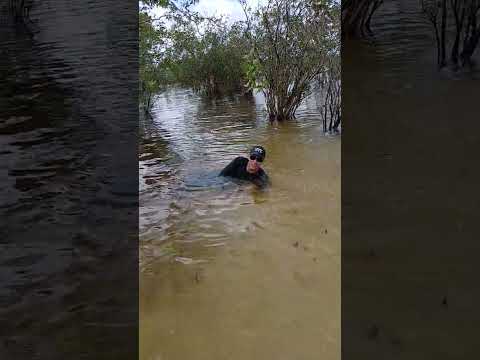 Paraíso em São Sebastião do Uatumã 