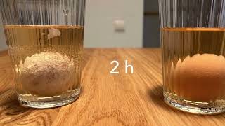 Chemistry of the egg