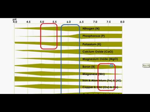 Exerciții pentru îmbunătățirea vederii la copii