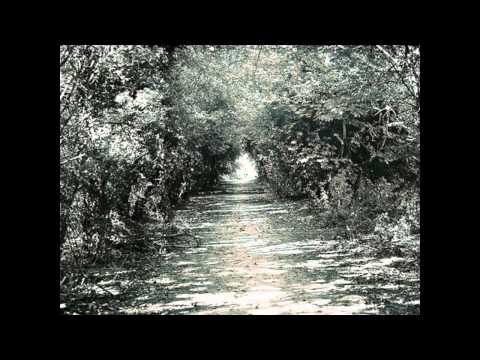 The Tallest Man On Earth - The Gardener (Good Quality)