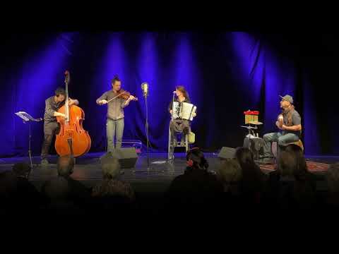 Trilemma Taraf - Ein Kamel schaukelt mit dem Schiff nach Griechenland