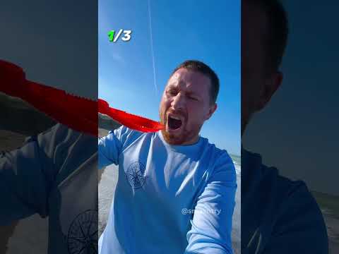 TOP 3. Be Careful Walking on the Beach! part 64