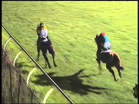 Galoppo 16/01/2015 - 6° corsa