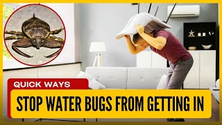 How To Keep Water Bugs Out Of Your Home?Quick Methods That Actually Work
