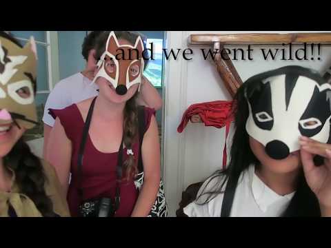 DISCOVER SLAVONIA| A DAY IN BARANJA