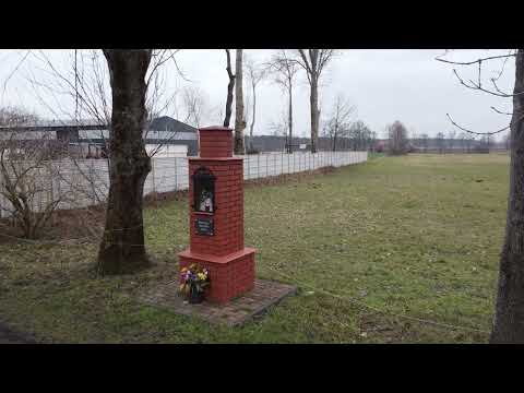 Kapliczka w Delfinie, widok z drona #kapliczki