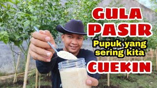 Download lagu Don't underestimate GRANULATED SUGAR for plants!! mp3