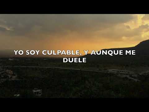 Luis Fonsi - Culpable (Lyric / Letra)