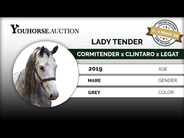 Lady Tender