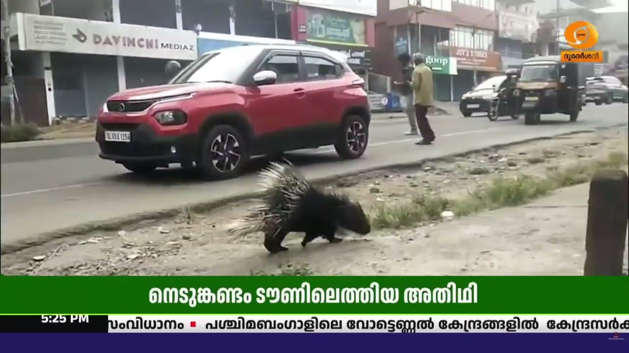 കൗതുകമായി നെടുങ്കണ്ടത്തെ വീടുകളിലും വ്യാപാര സ്ഥാപ?