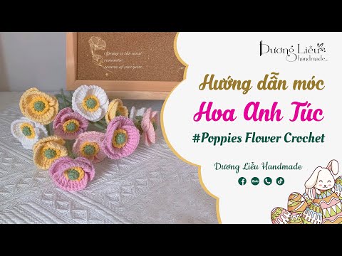 Hoa anh túc (poppy)
