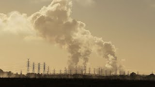 Politcal left &#39;demonise&#39; coal but it remains ‘vital’ for steel industry