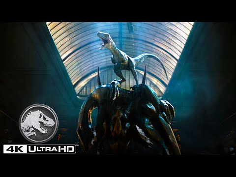 Reino Caído | Indoraptor vs Blue en 4k HDR