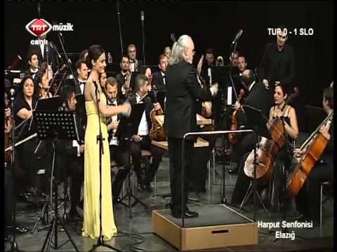 Harput Senfonisi 2013__TRT Müzik, Çukurova Devlet Senfoni Orkestrası
