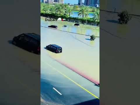 vare bristi Dubai tocha nocha hocha