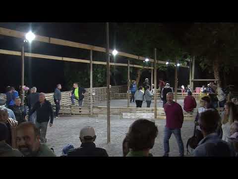 Prelà Gara di Petanque a Terne coppie +puntatore a sorteggio