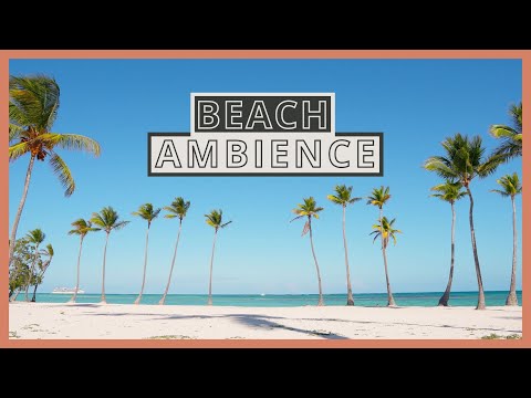 4K Tropical BEACH AMBIENCE on a Caribbean Island in the Dominican Republic with a White Sand Beach