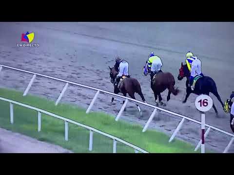 Pádel 🇻🇪 se creció en el Fuerzas Armadas y El De Froix llegó muy mal