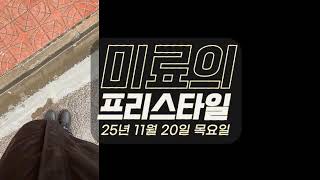 미료의 프리스타일 2025년 11월 20일 목요일