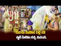 Manchu Manoj And Bhuma Mounika Reddy Marriage Manchu Wedding Celebrations Suman TV Information