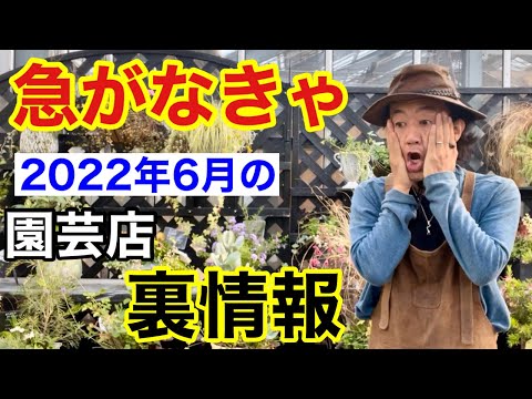 菜園旧暦 2022 年 6 月 8 月 フランス 
