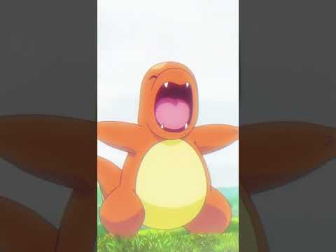 Leon's Charizard Win Percentage 🤔