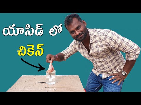 Piranha solution VS Chicken - DSC