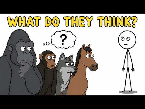What Do Animals Think Of Humans?
