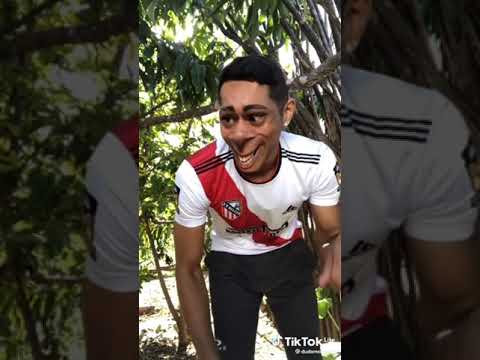 o cachorro sabia danssar