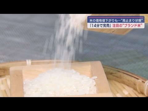 YouTube Video 暑さに強い注目の品種「にこまる」食味ランキングも「特A 」 猛暑でもおいしいコメに注目