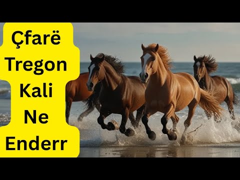 Çfarë Tregon Kali Ne Enderr . Interpretimi i endrrave me kuaj . Kuptimet që nuk i ke ditur!