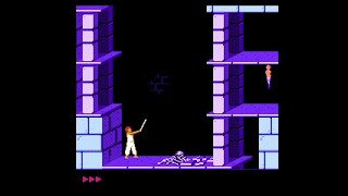 NES Game: Prince of Persia (1989 Broderbund)