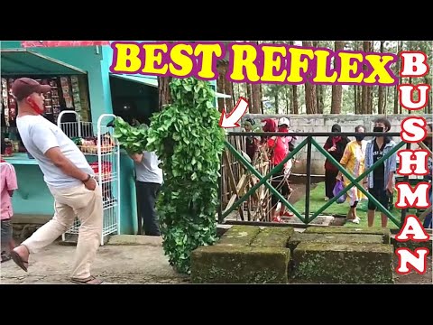 tourists-got-a-funny-prank-bushman-prank-friendly-people