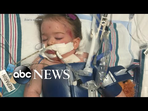 Scientists reverse brain damage in a toddler