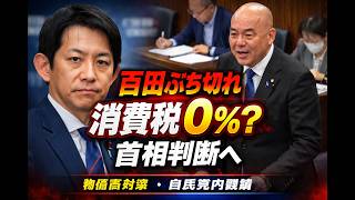 【日本保守党】消費税減税に関してあの男が猛烈追及！