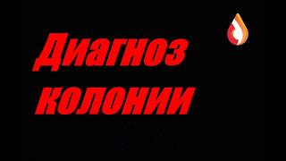 Диагноз колонии