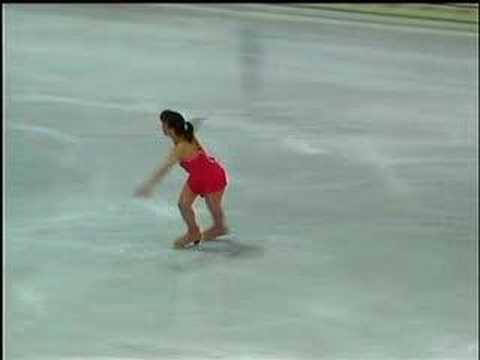 2007 ISU Adult Competition