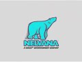 REUPLOAD Nelvana 2004 Enhanced With Electronic Sounds 15 0