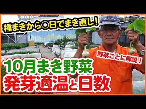 種が発芽しないのですが?最も一般的な 5 つの理由 トピックス