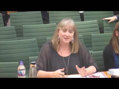 HCLG Select Committee - Statutory Children's Services