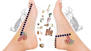Foot Reflex Therapy