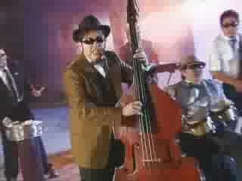 skalavera - la zapatilla con caña