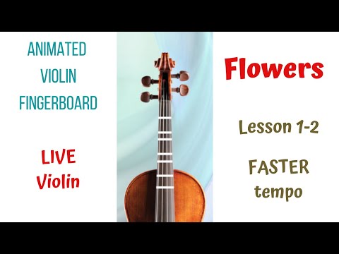 🌼 FLOWERS by Miley Cyrus | LIVE Violin Cover 🎻|Animated Violin FINGERBOARD |Lesson 1-2| FASTER TEMPO