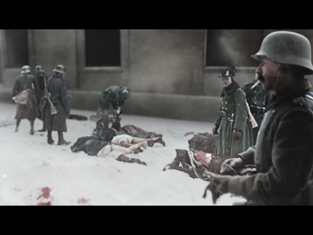 NOVOSADSKO SEĆANJE (NOVI SAD REMEMBRANCE) - TRAILER