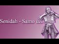 Senidah Samo uzivaj TEKST PESME