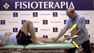 Extensor Largo del Primer Dedo del Pie