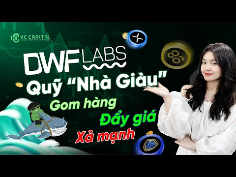 DWF LABS - QUỸ ĐẦU TƯ "NHÀ GIÀU" MỚI NỔI #3 | HC CAPITAL