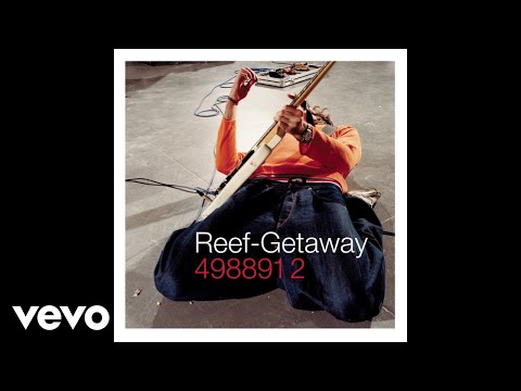 Solid - Reef